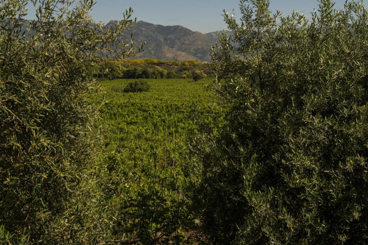 Tenuta Di Fessina Castiglione De Sicilia Exterior photo